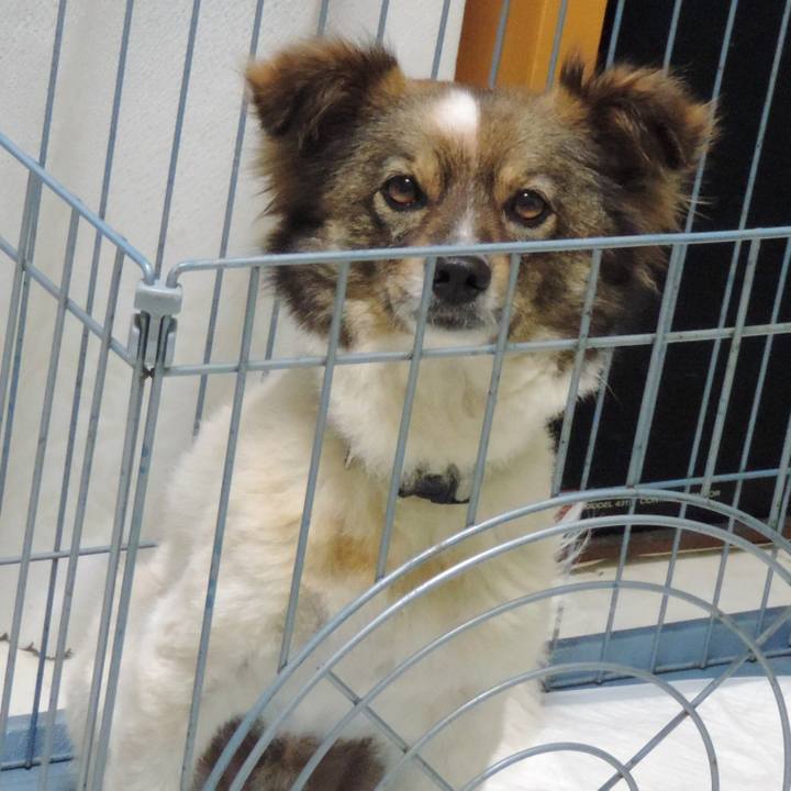 Ed8067b8 59d6 40b2 bd95 28d3d9fb2c19