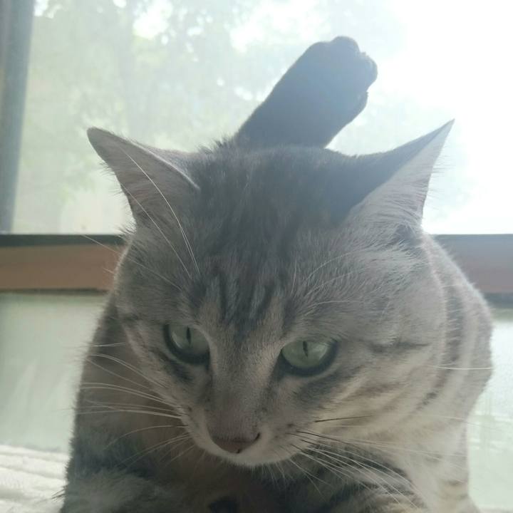 Ed807d4a d243 4808 8595 53a86c8b56ff