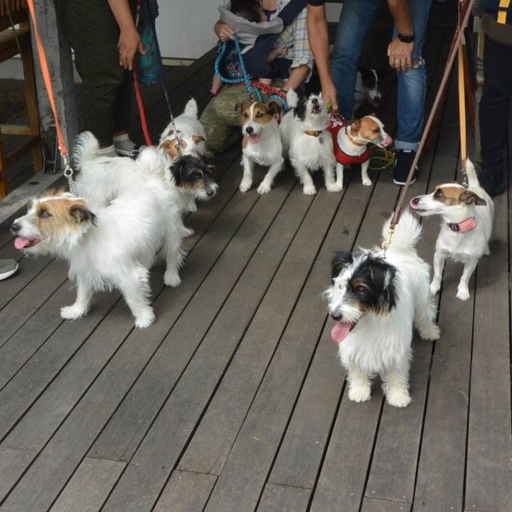 Ed809bb3 acc2 4985 94cd 8a65592caedb