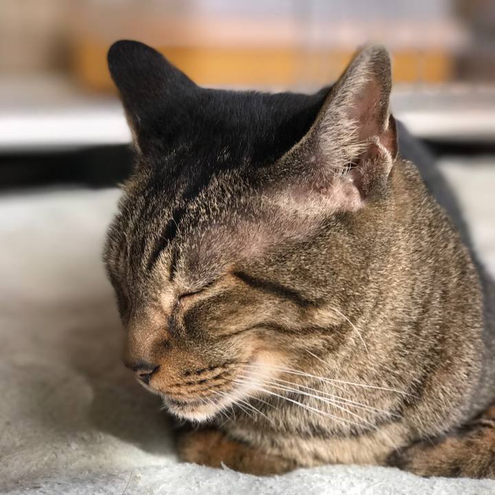 Ed80aea6 2733 4a12 91b2 75b70e7148c2