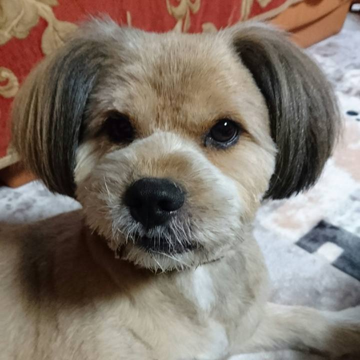 Ed80bce8 7851 4ea2 8433 c995d065c180