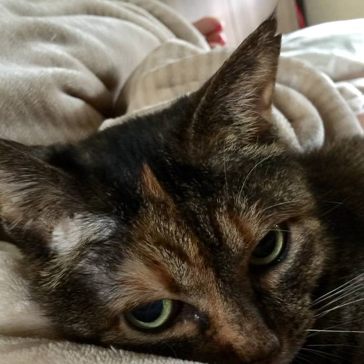 Ed81420e d3e3 4518 bd51 afd819945df7