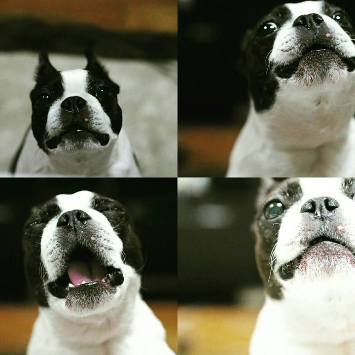 Ed81ad10 59f8 494e 9742 86819d860491