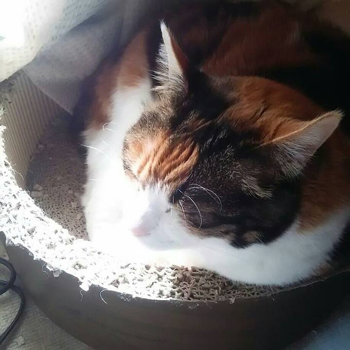 Ed81ca59 f373 4c07 a187 e5445a9b6958