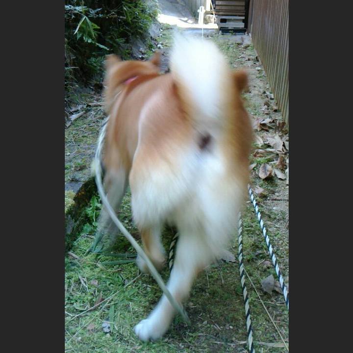 Ed81cfd8 c580 4b43 aa60 54219b879eb8