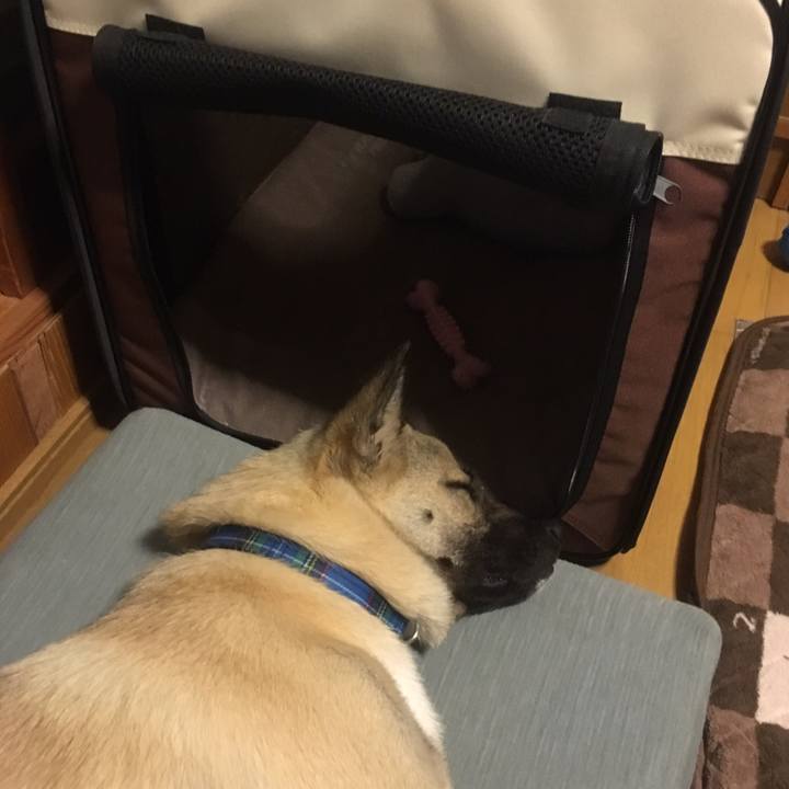 Ed82b71b df8b 4109 8917 00fc0edbf71b