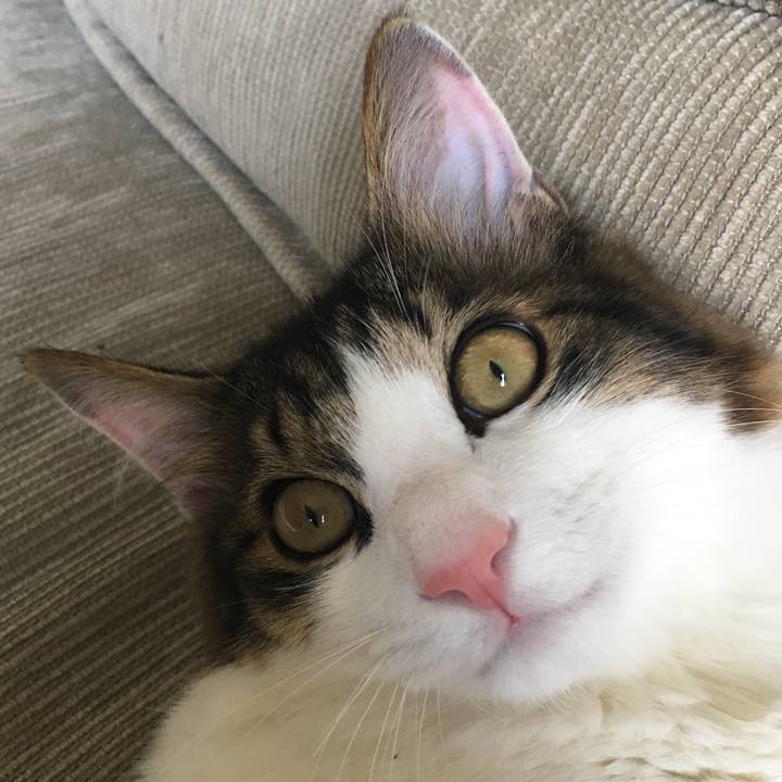 Ed82c02e d190 4c73 982c be9fbcc4913a