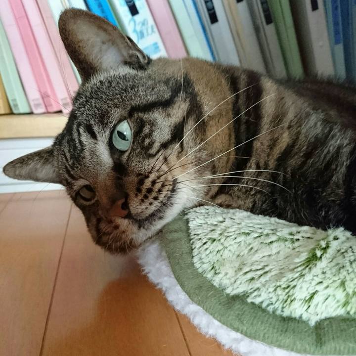 Ed830b09 8aac 4bab b089 89b7f79a3ad9