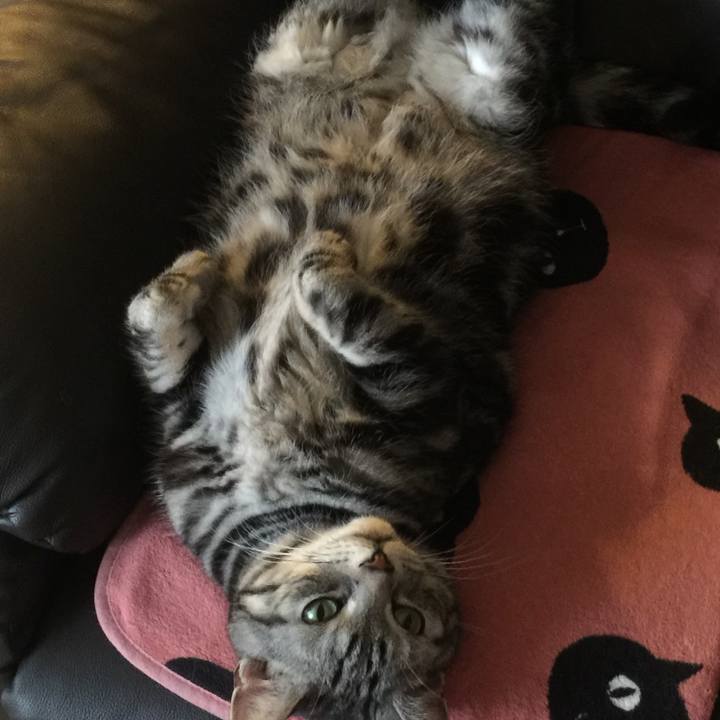 Ed84610a 3e8f 40c2 af14 2c97ce7ada04