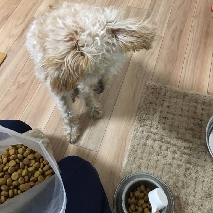 Ed8478d8 a893 487d a552 c91bf25a8931