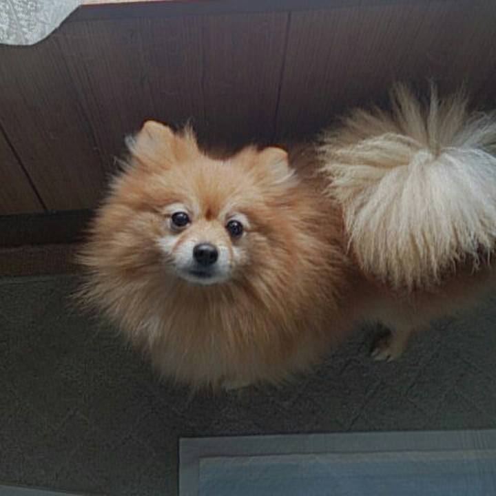 Ed84f4a6 b53d 481f 917e f297e043d8c4