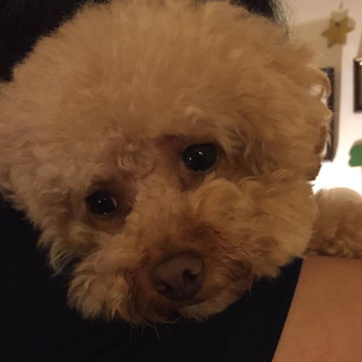 Ed853a14 3108 426f a16c d2c29574770f