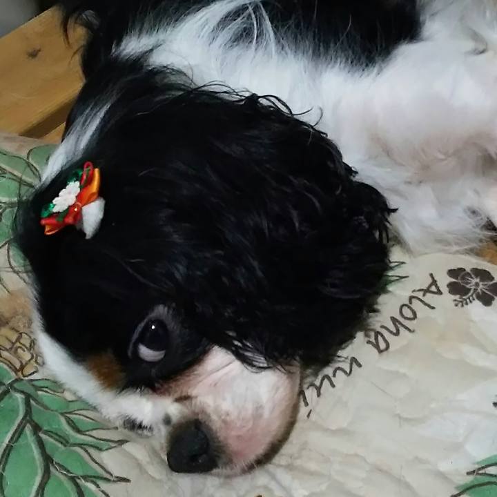 Ed85e45a c666 4769 821e 34ce52e6c15f