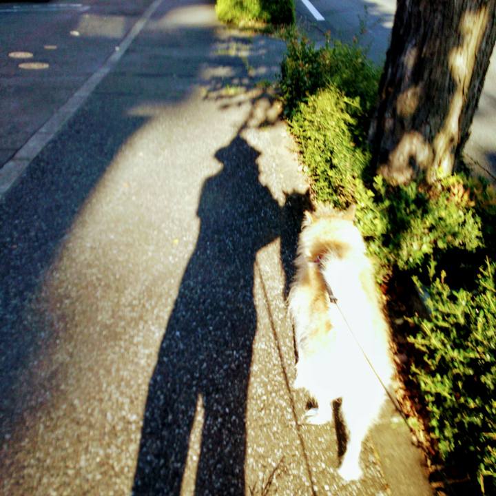 Ed85fc03 d6db 46db 88d1 3696f0f869a0