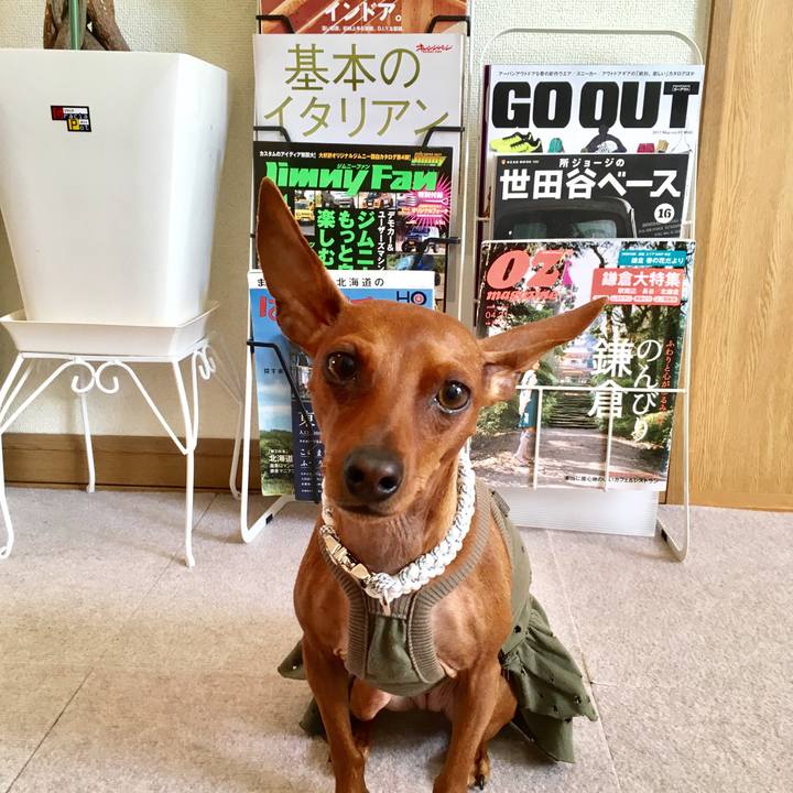 Ed860926 5438 413b bfa2 ad80ba8bfe5a