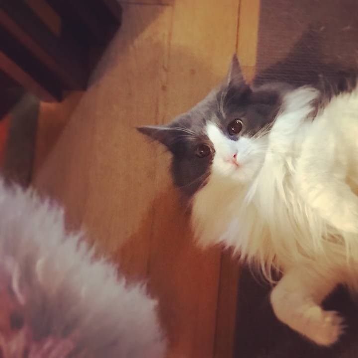 Ed864d3d c977 4af1 bdf6 ec8c3535802f