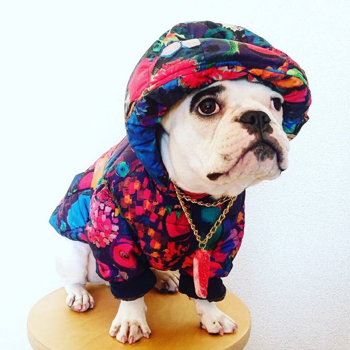 Ed8671f3 4cb0 44e7 99d8 4e076d682e85