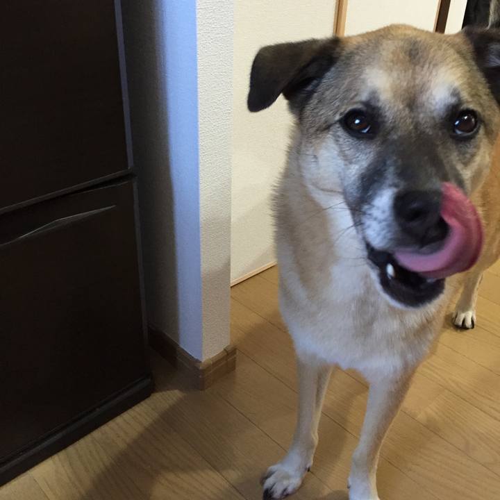 Ed872dc7 2bec 42b8 b34a 3a10671c5e66