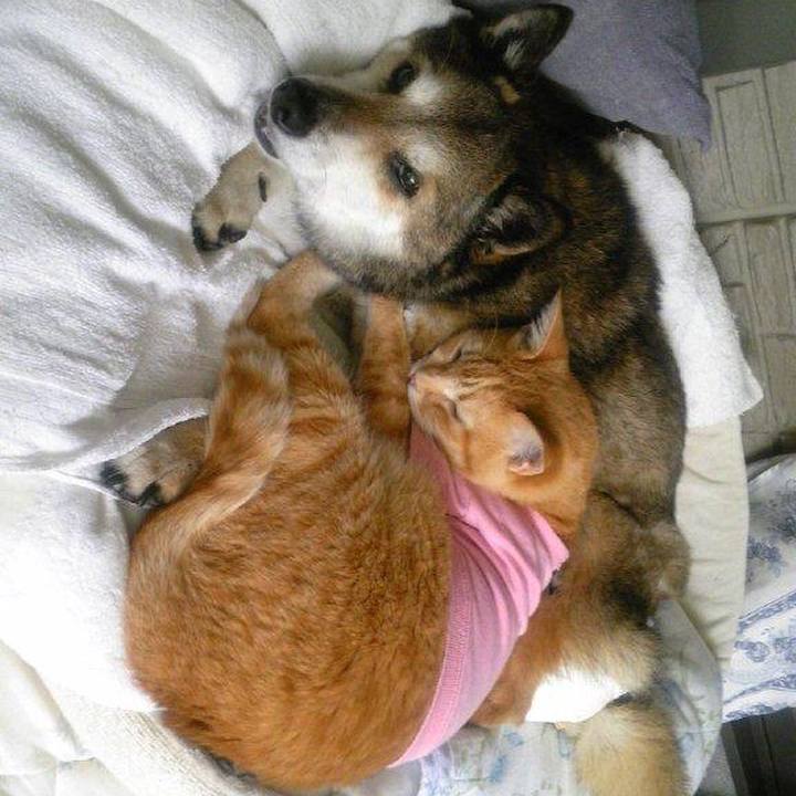 Ed87636a f8c1 4d34 b81d c7242b7f6140