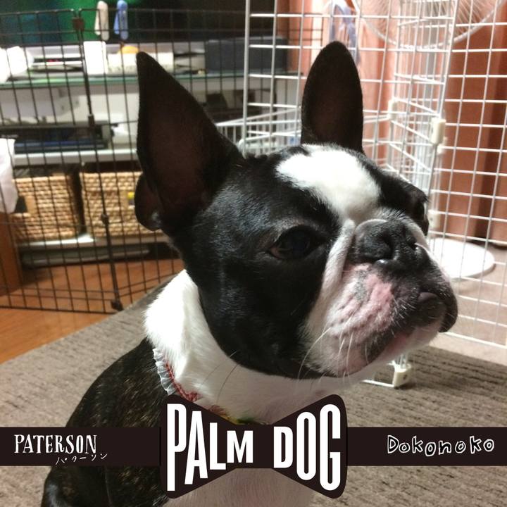 Ed87ebdd 4d48 4985 8b6e 8ae9c4090b25