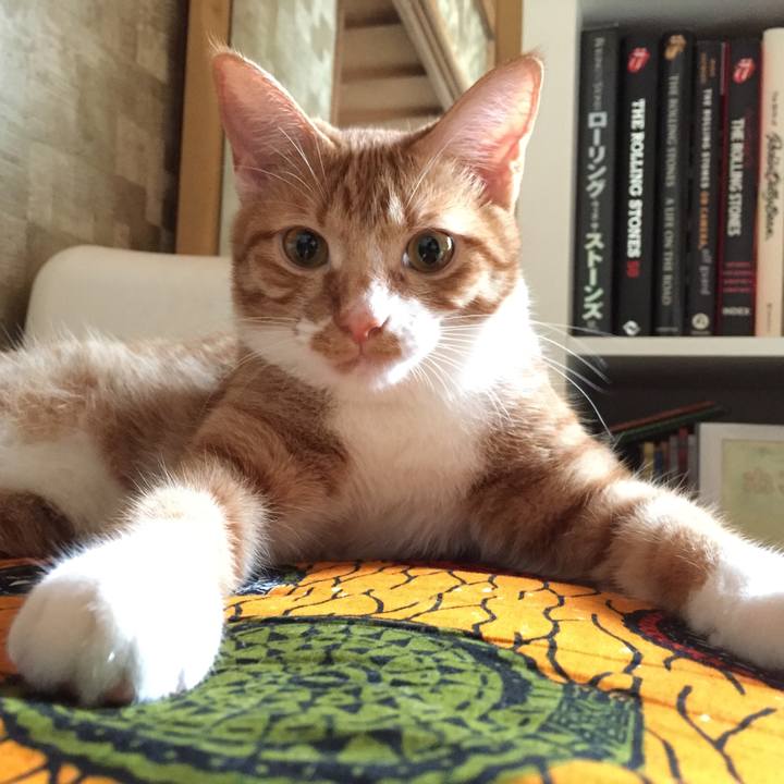 Ed88143c 4203 4fa1 9d4b b12c474ba526