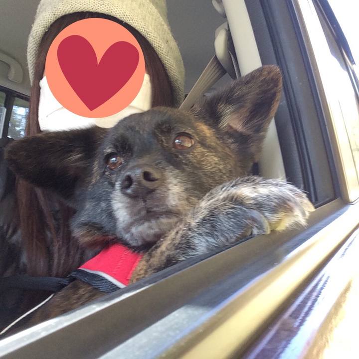 Ed881b0d 353c 4dbb bc18 f05a3e68084f