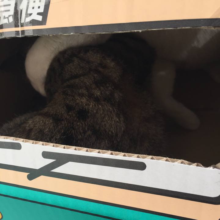 Ed882f18 6991 44a4 b2c9 992465b249d5