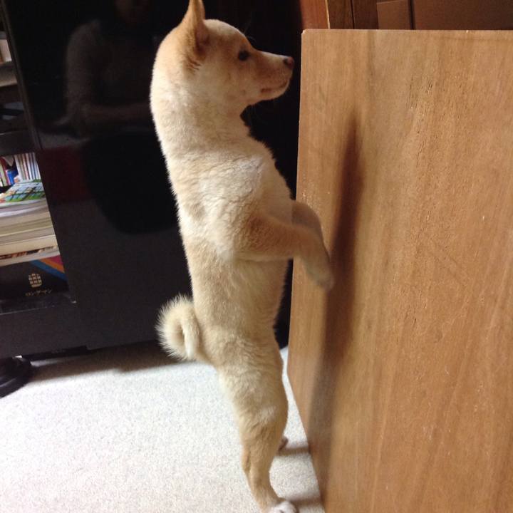 Ed88a956 67fe 45e4 97b2 c13de2827481