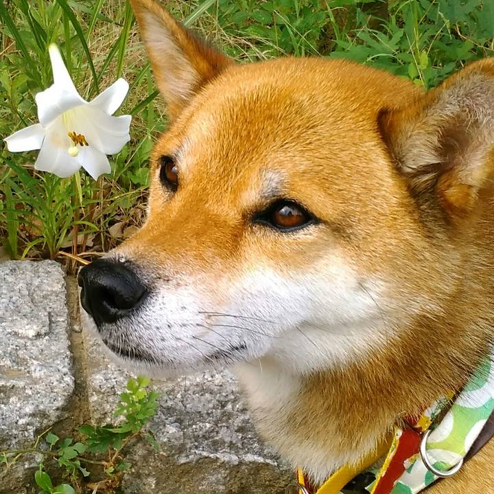 Ed8a2339 af07 4964 a0c8 fa113b6e44ad