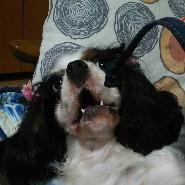 Ed8a9e7e b8cd 403a bd80 39c27e30595d