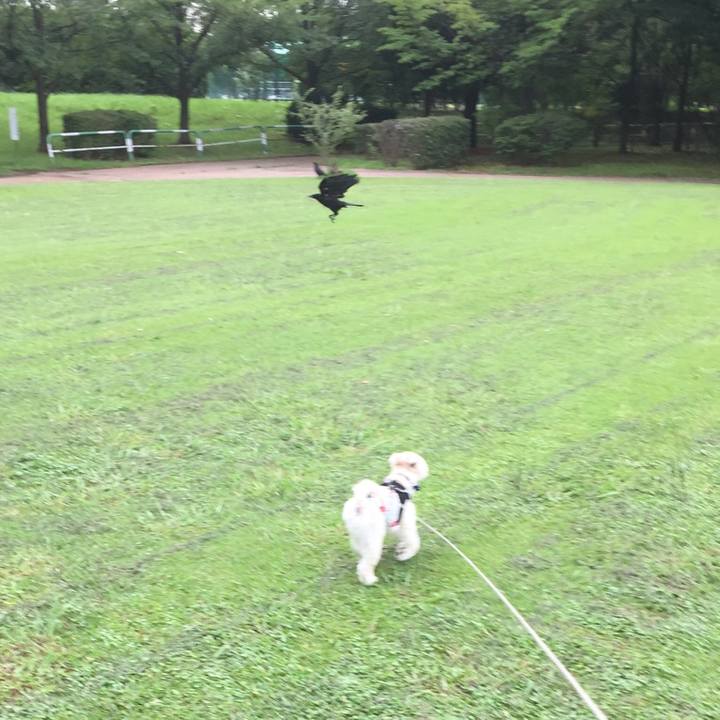 Ed8db2d0 175f 4cb4 b186 6d61fce5b65e