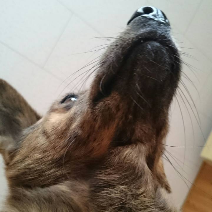 Ed8de7fe 98d8 4e9f 97d4 ce6288f48949