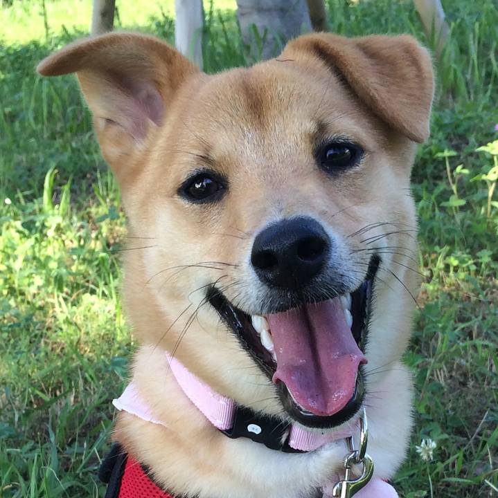 Ed8eab12 9b41 488a 87c1 0da3720528d8