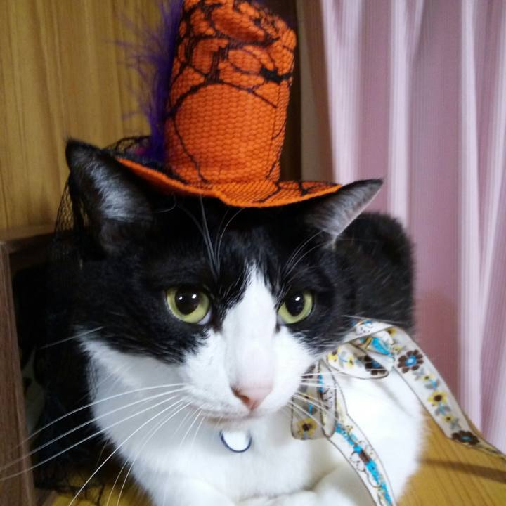 Ed8f71f6 5142 4613 8c6f fa89ab3ac7f2