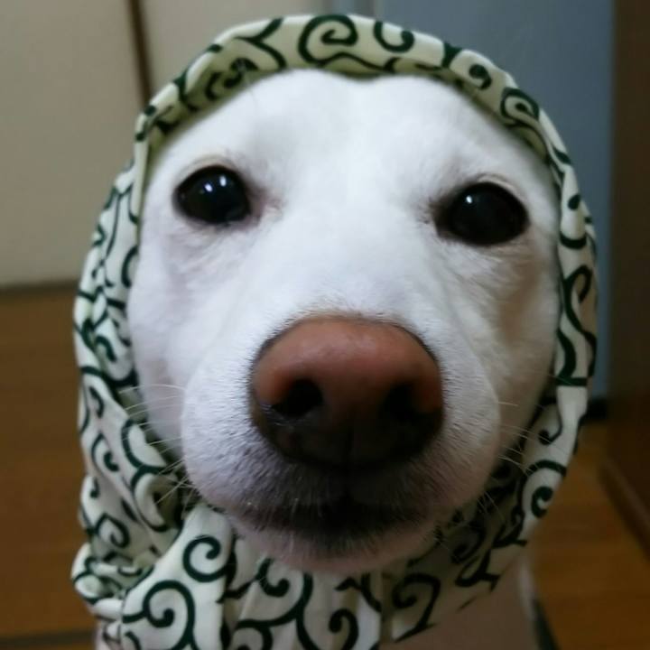 Ed8f8dbd fd87 4cb1 bdaf 08aedeb9748a