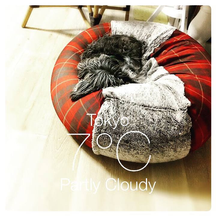 Ed8fba09 f613 47e2 b481 8b0e9c6c825a