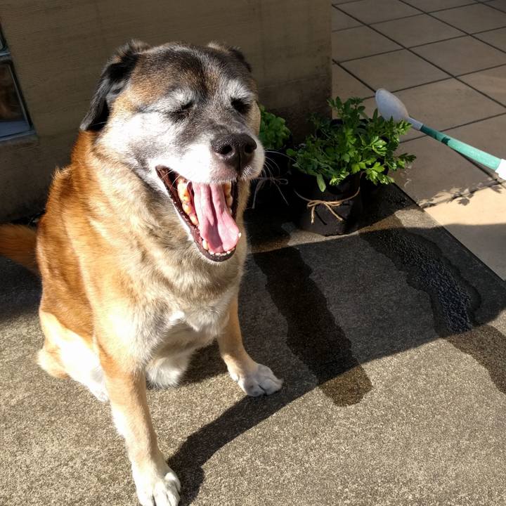 Ed8fdc58 e388 4a17 934c 07b4fae71350