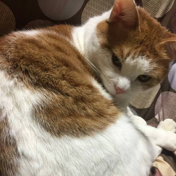 Ed904c72 1a4a 453a 8070 b27f52ac6c4e