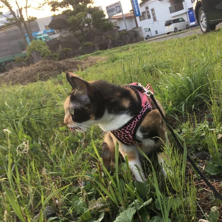 Ed908998 4c96 49bd b2d6 939ff288b828