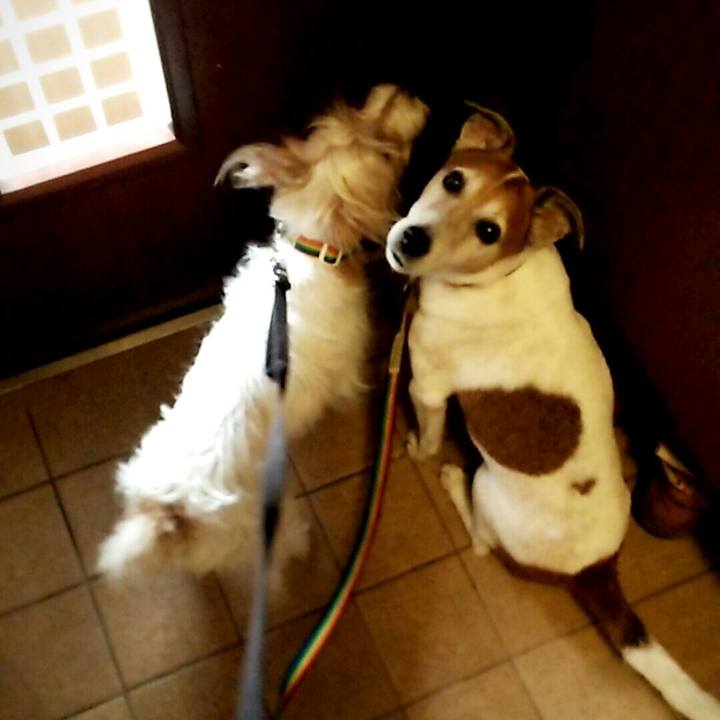 Ed90dcab 2f61 4b4b b274 cbb201b3be10