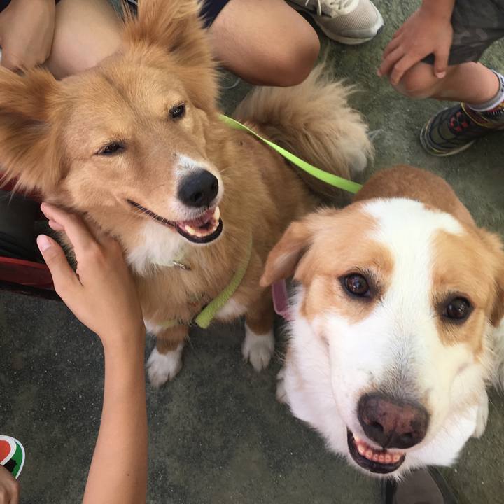 Ed916f5a 961a 46ac 8c33 4b18e5a4e04a