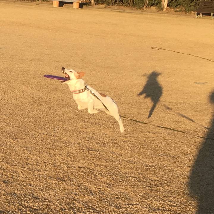 Ed91c53c 1a8a 438f a3c6 8070c8189026