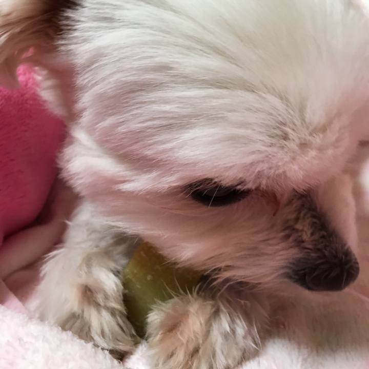 Ed921711 b991 4380 831b 4942fb935b5e