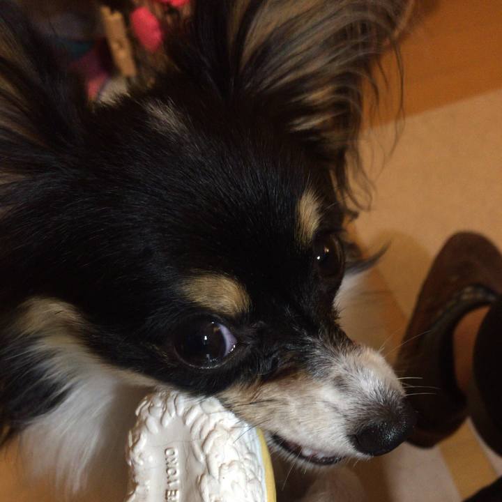 Ed9229d5 79ae 4656 bc46 3da2116801eb