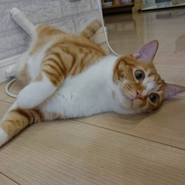 Ed930e06 9c59 4157 a83a 80a486a4257c