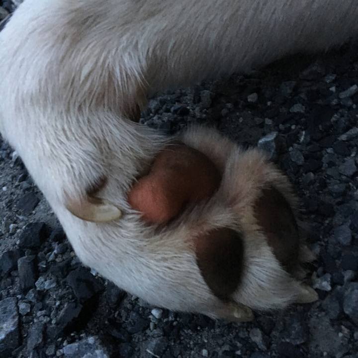 Ed935989 588d 404e 87b8 325093da67c7