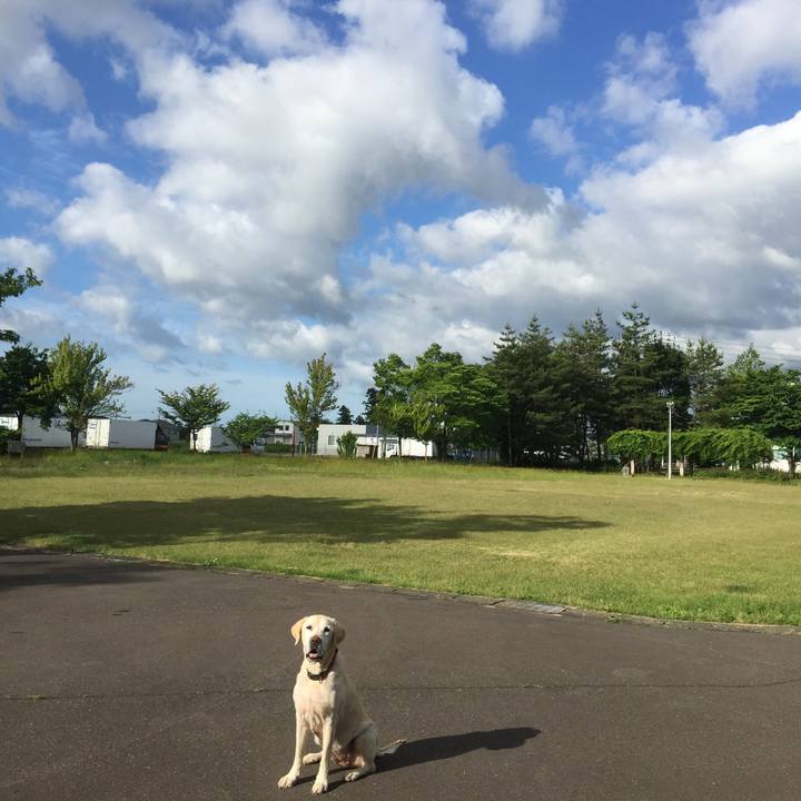 Ed935af6 b62a 4377 a927 f4f0be61d387