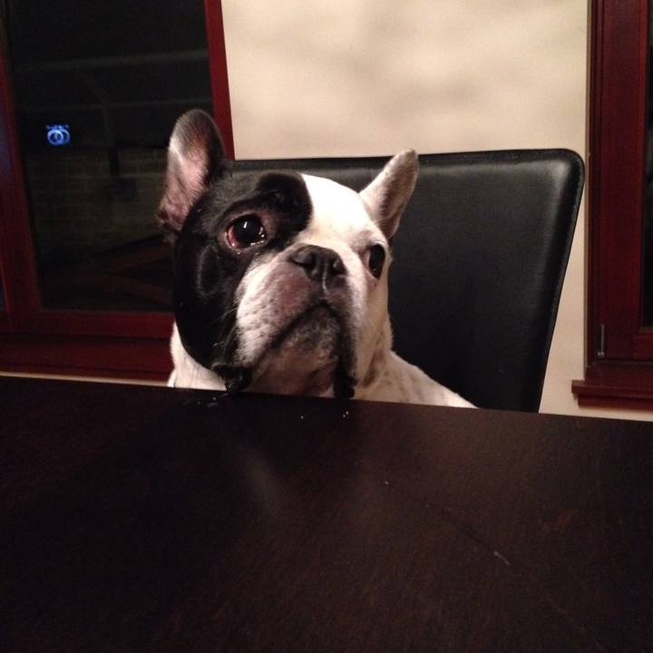 Ed939e55 84e8 42f2 9a85 2f2122825074