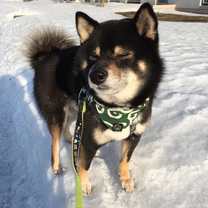 Ed9464db 0ac0 4ef0 aa47 1d6ac2cef972