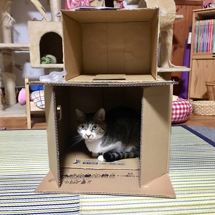 Ed94fc90 0426 4ddf b7c5 406dd655eba7